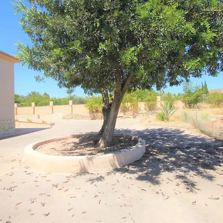Chalet Casaturis Para Disfrutar Con Piscina Privada En San Vicente Del Raspeig Ch101 Holiday home San Vicente Raspeig